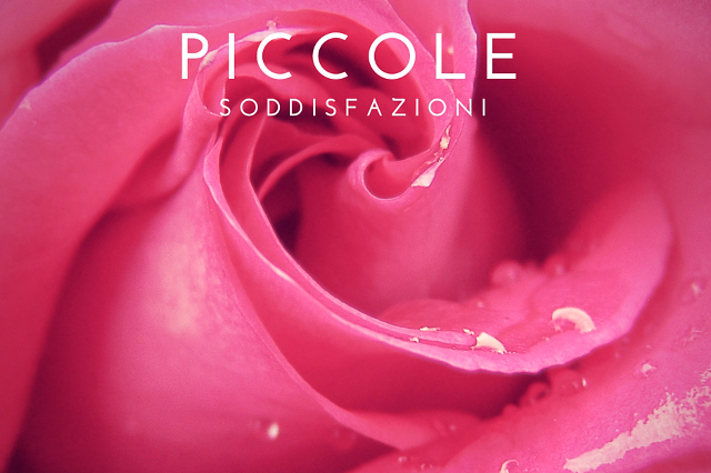 Piccole soddisfazioni - photo Ryan McGuire via Canva.com