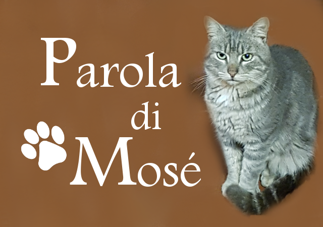 Parola di Mosè (il gatto, non il predicatore)
